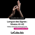 Formation Langue des Signes - Niveau A1-A2 - LE CUBE