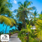 Rentrée détente en Guadeloupe - Séjour pour 2 avec petit-déjeuner -Auberge de la Vieille Tour