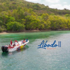 Excursion en bateau Demi Journée - LIBODO II