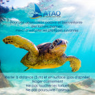 Journée snorkeling tortues et canoé sur voilier privé au mouillage - ATAO PLONGEE