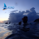 Snorkeling de nuit au départ de Grande Anse en VIP - privatisez la sortie pour votre groupe - ATAO PLONGEE