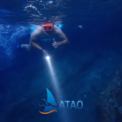 Snorkeling de nuit au départ de Grande Anse en VIP - privatisez la sortie pour votre groupe - ATAO PLONGEE