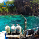 Journée catamaran (snorkeling paddles tortues) - ATAO PLONGEE