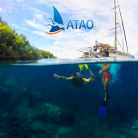 Journée catamaran (snorkeling paddles tortues) - ATAO PLONGEE